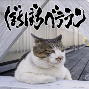 【1月3日(水)発売】ぼちぼちベテラン
