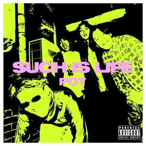 【12月11日(水)発売】POT 15周年再録BEST ALBUM 「SUCH IS LIFE」