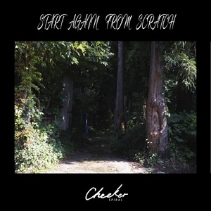 Start again from scratch