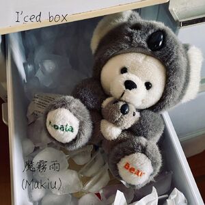 I’ced box