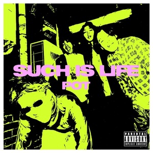 POT 15周年再録BEST ALBUM 「SUCH IS LIFE」