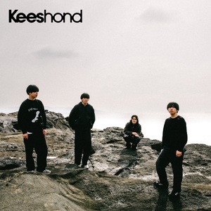 【6月4日(水)発売】Keeshond