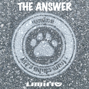 THE ANSWER