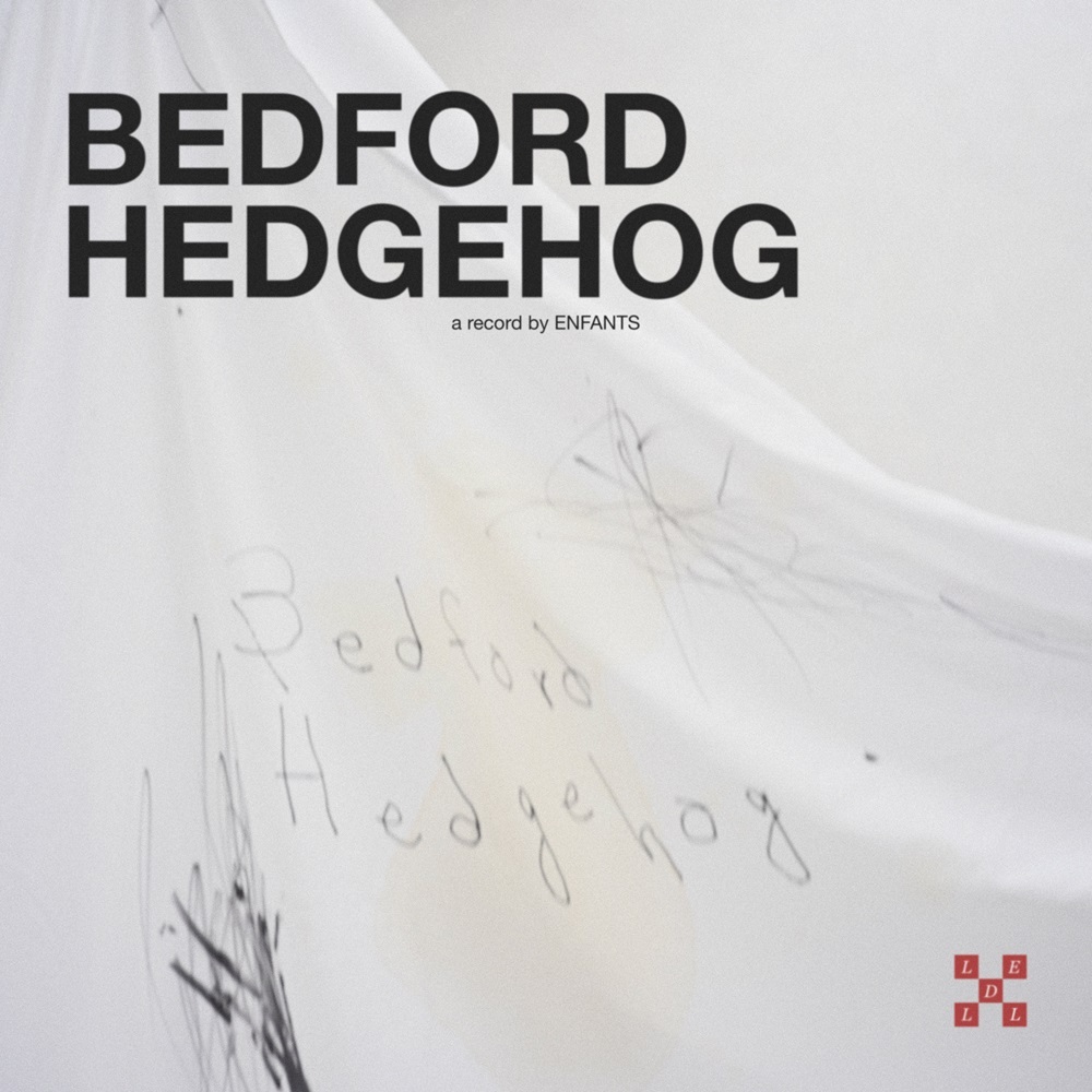 【2月4日(水)発売】Bedford Hedgehog