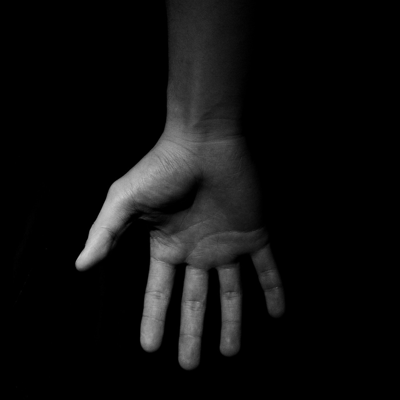 【2月4日(水)発売】TRIAD