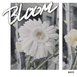 特典付】BLOOM | urei | LONG PARTY RECORDS