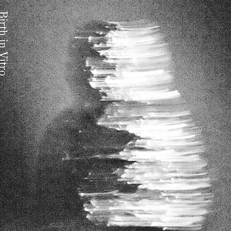 【4月29日(水)発売】Birth in Vitro