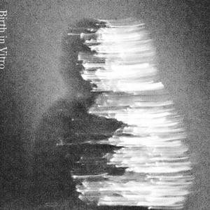 PREORDER | LONG PARTY RECORDS