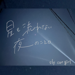 【10月14日(水)発売/ 特典付き】星も流れない夜のこと