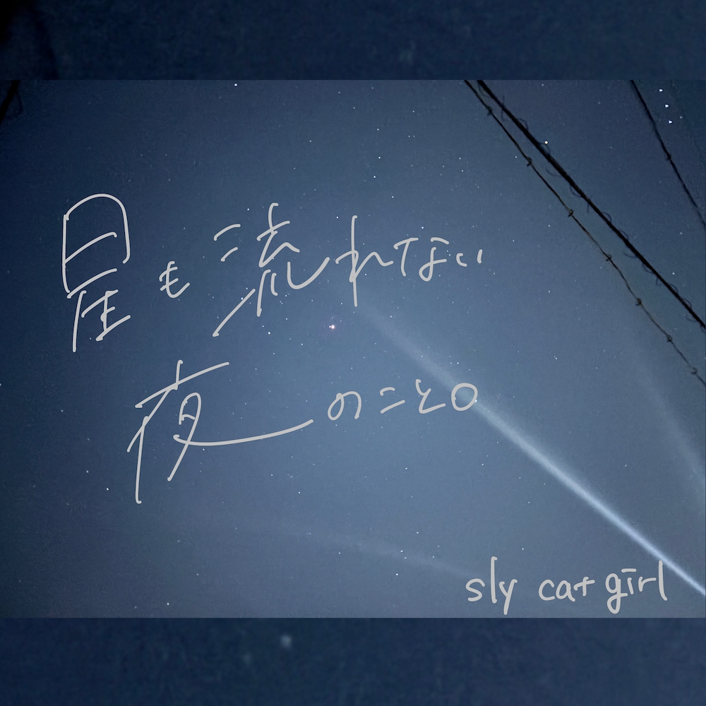 【10月14日(水)発売/ 特典付き】星も流れない夜のこと