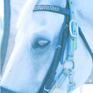 Blue Horse e.p.